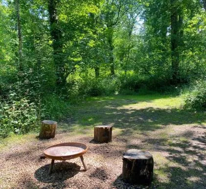 Established Boutique Woodland Campsite with 15.8 Acres, Infrastructure & Two Cab