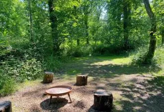 Established Boutique Woodland Campsite with 15.8 Acres, Infrastructure & Two Cabins – South Devon