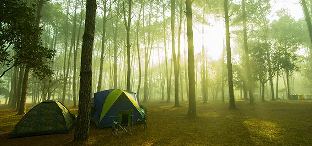 Appels d'offres campings